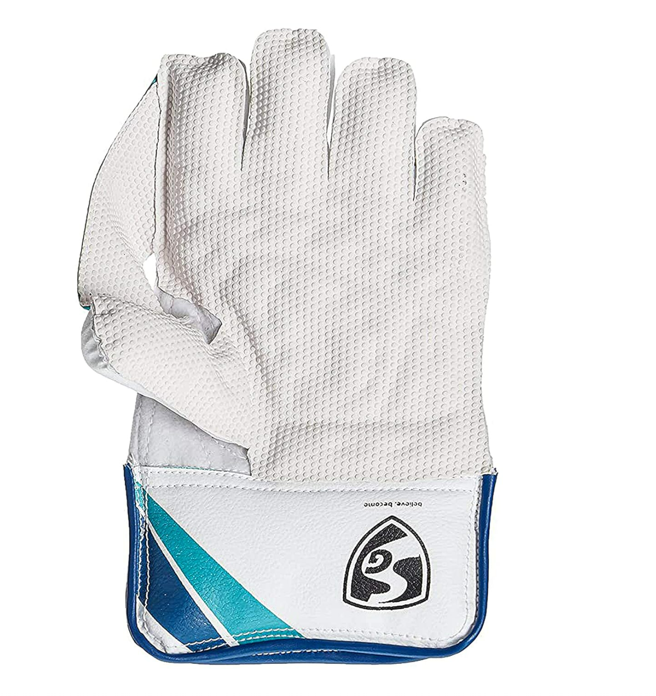 SG WICKET KEEPING GLOVES-RSD XTREME